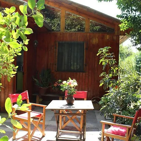 Alojamiento Rural Casa Quinta Peumayen Isla de Maipo Exterior photo