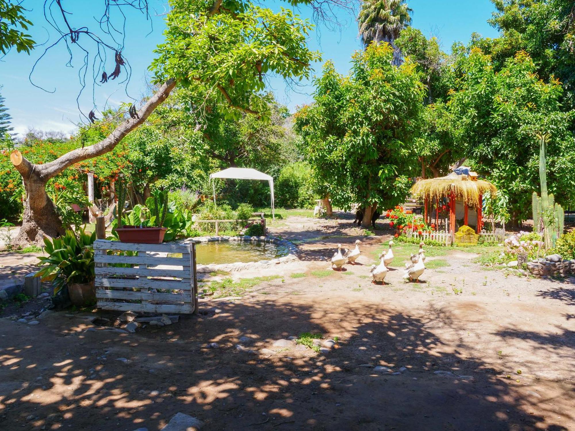 Rural Casa Quinta Peumayen Country house